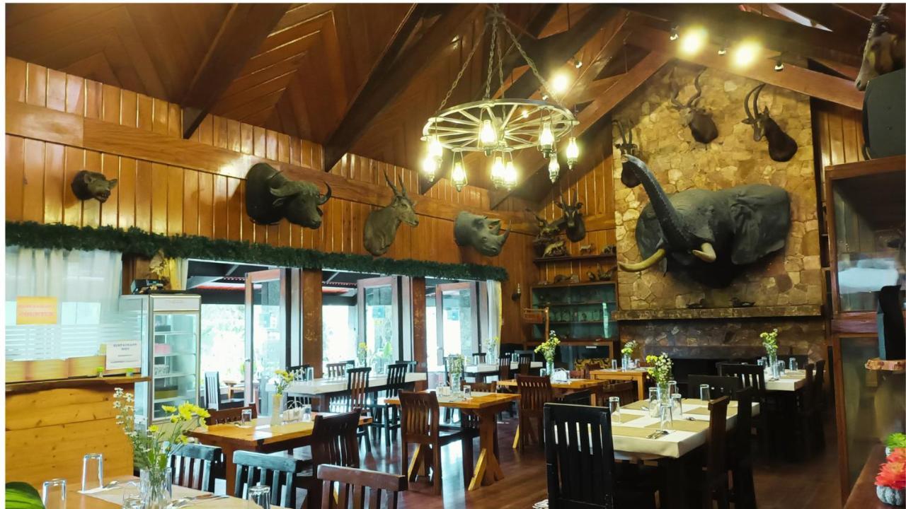 Log Cabin Hotel - Baguio Baguio City Kültér fotó
