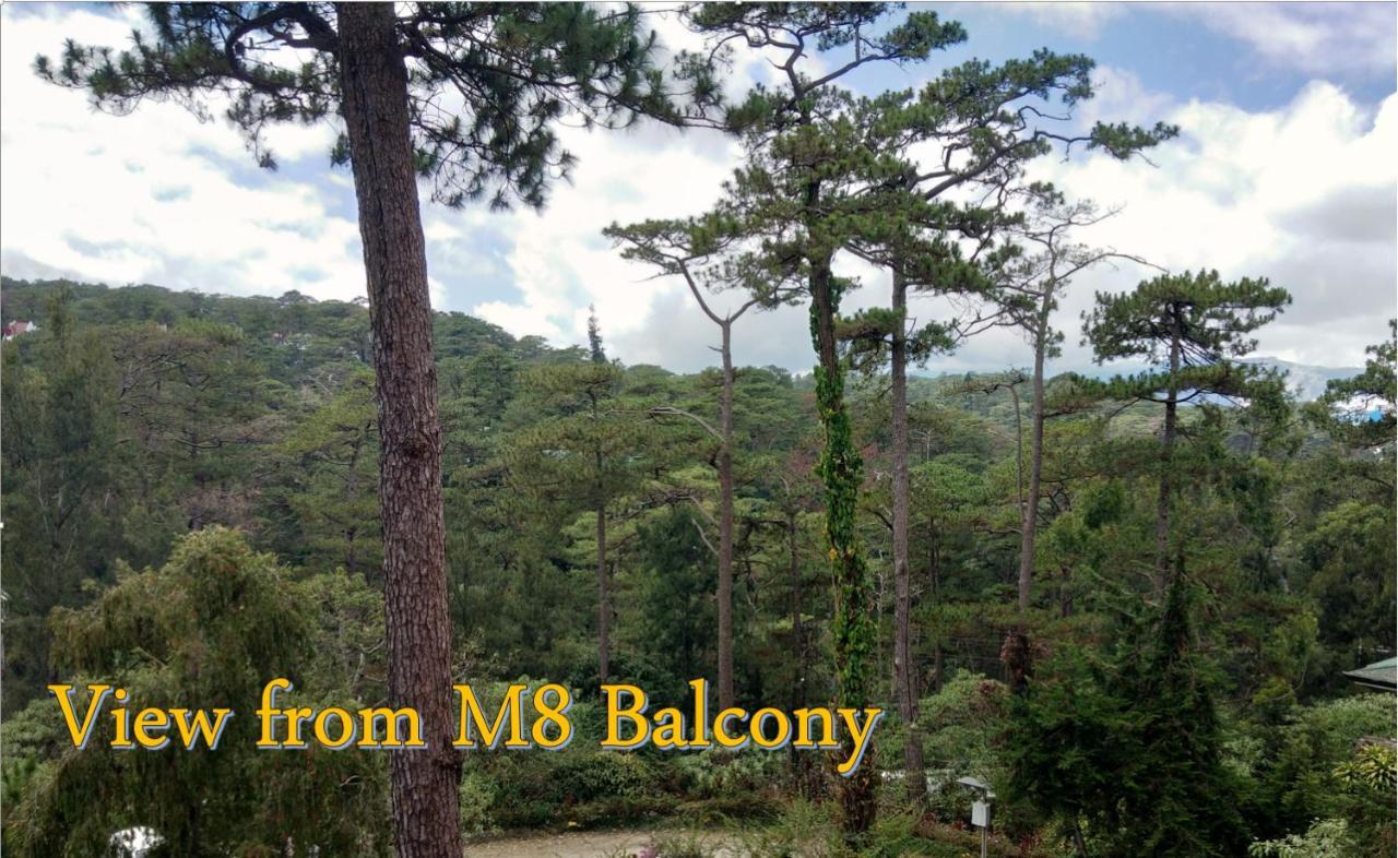 Log Cabin Hotel - Baguio Baguio City Kültér fotó